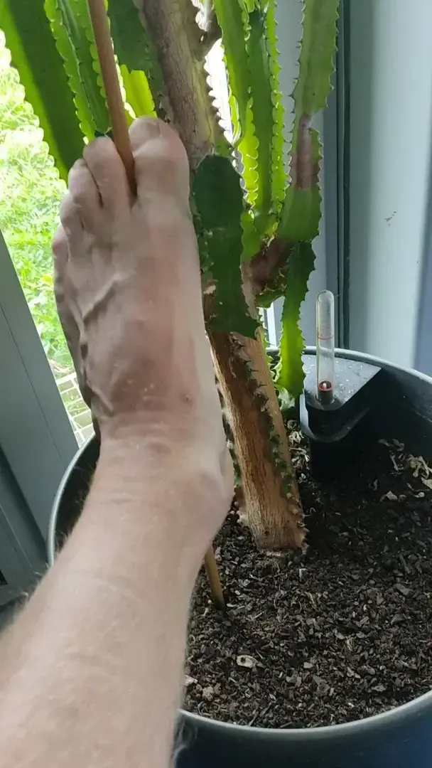 Leak & nude 1 — Feet_and_pleasure