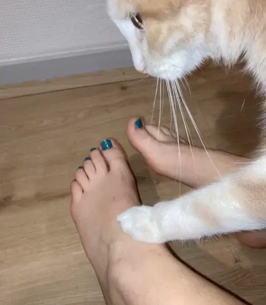Leak & nude 2 — totallyspiesfoot