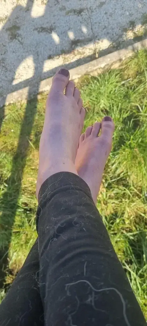 #new #herbe #pied #soleil