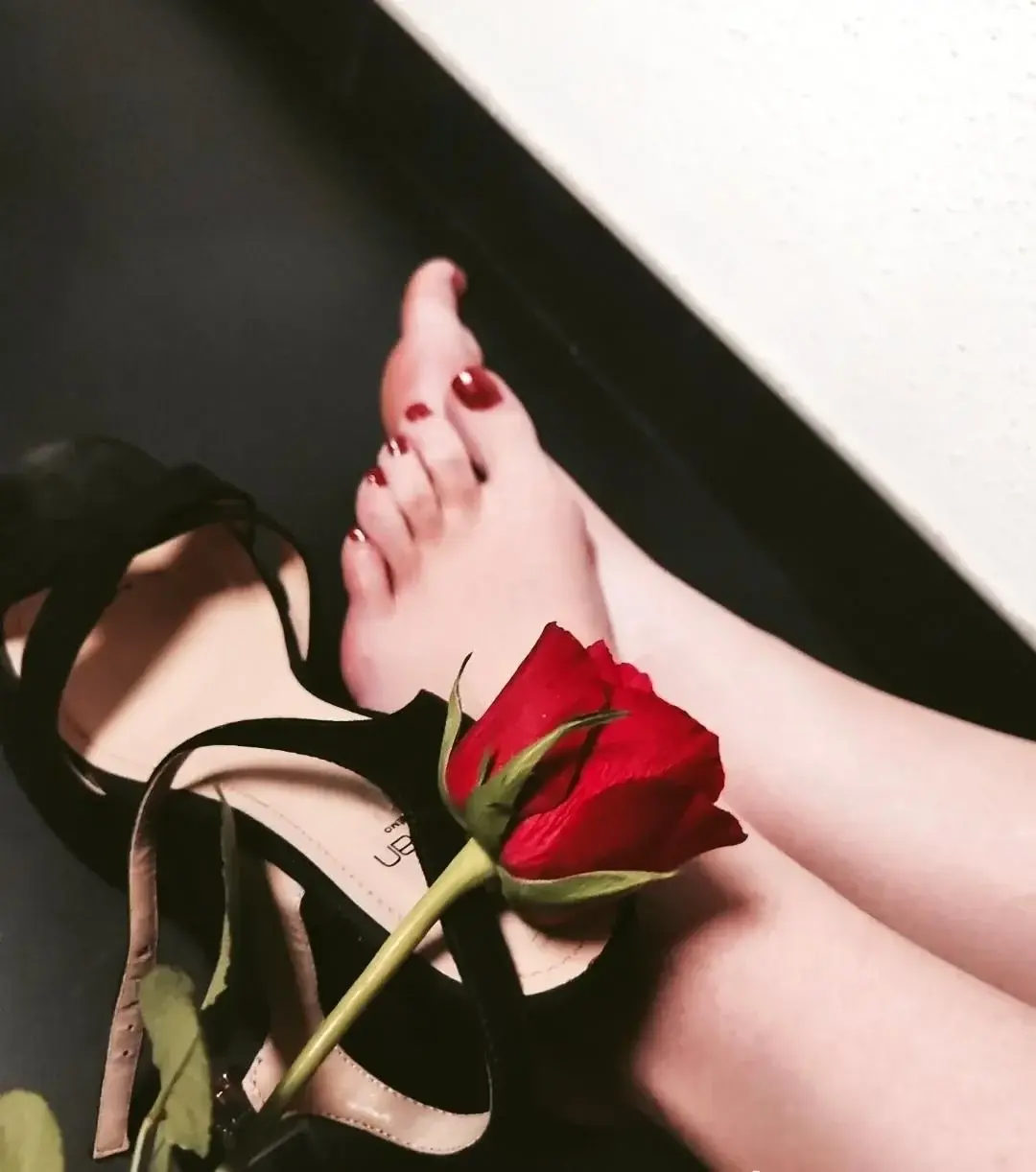 Avatar de C_le_pied_egyptien