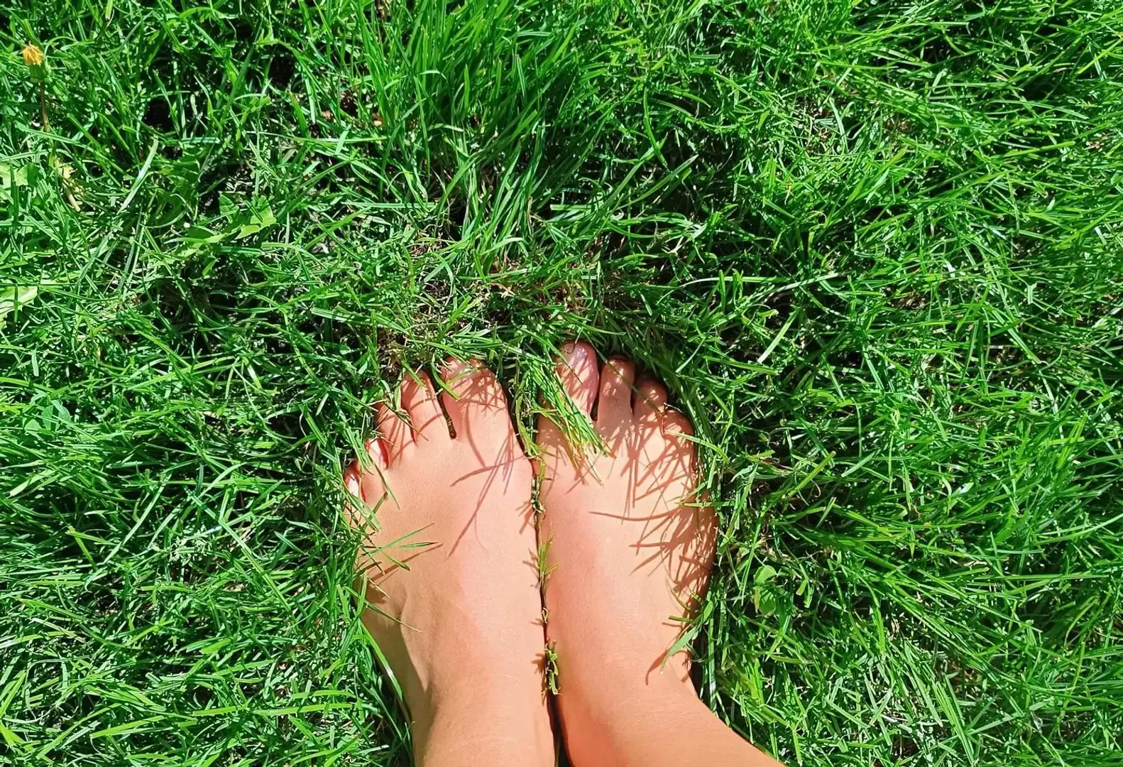 Photo de couverture de Mommymfeet