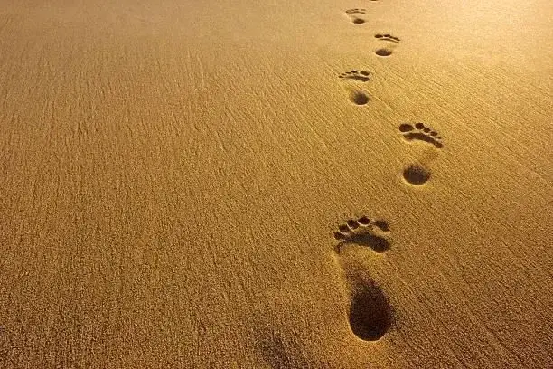 Photo de couverture de Feet_paradise