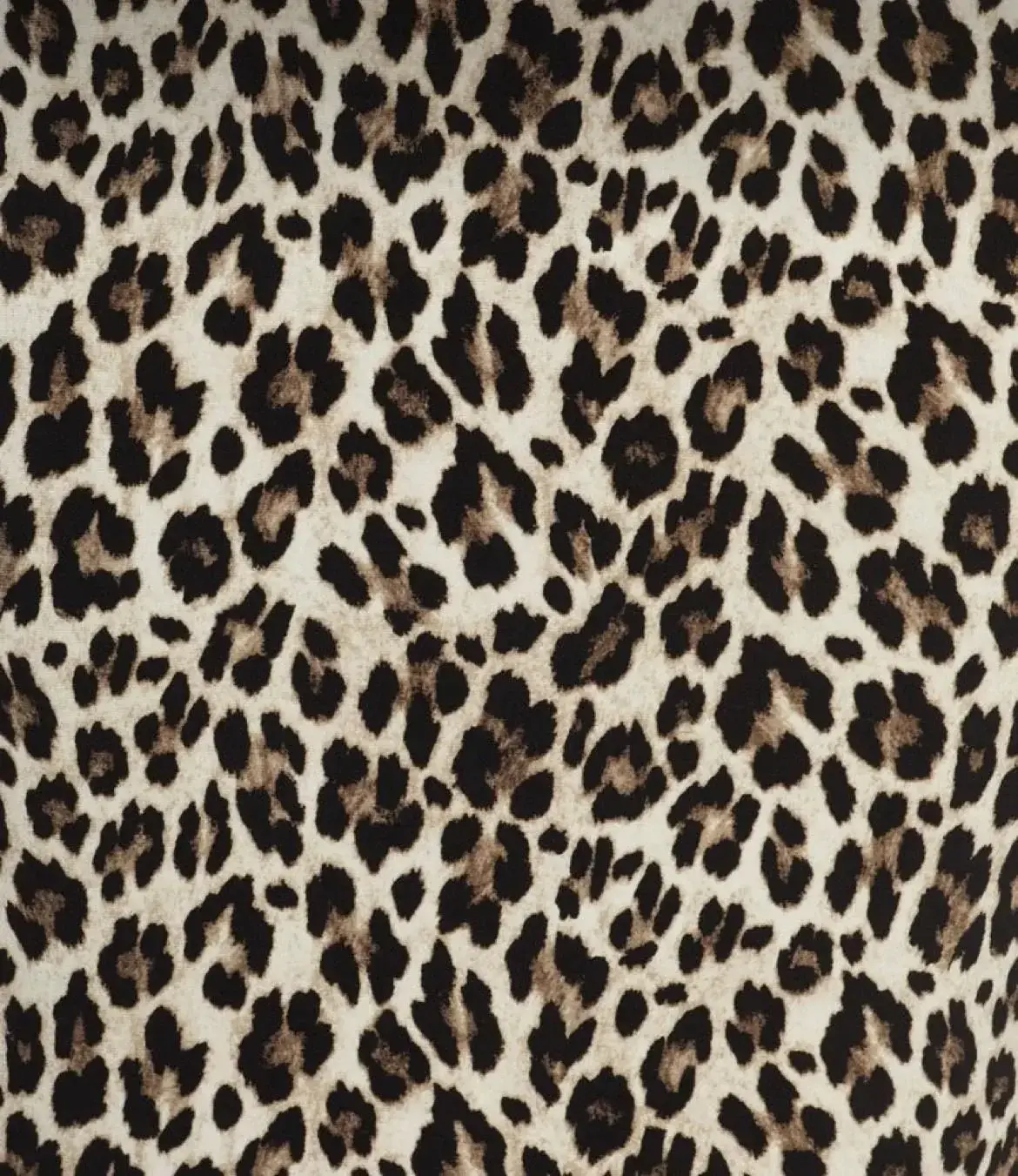Photo de couverture de Leslolitas