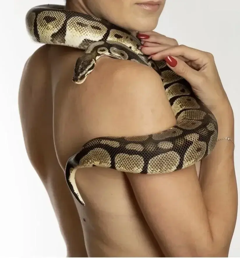 Leak & nude 2 — Hot_snake