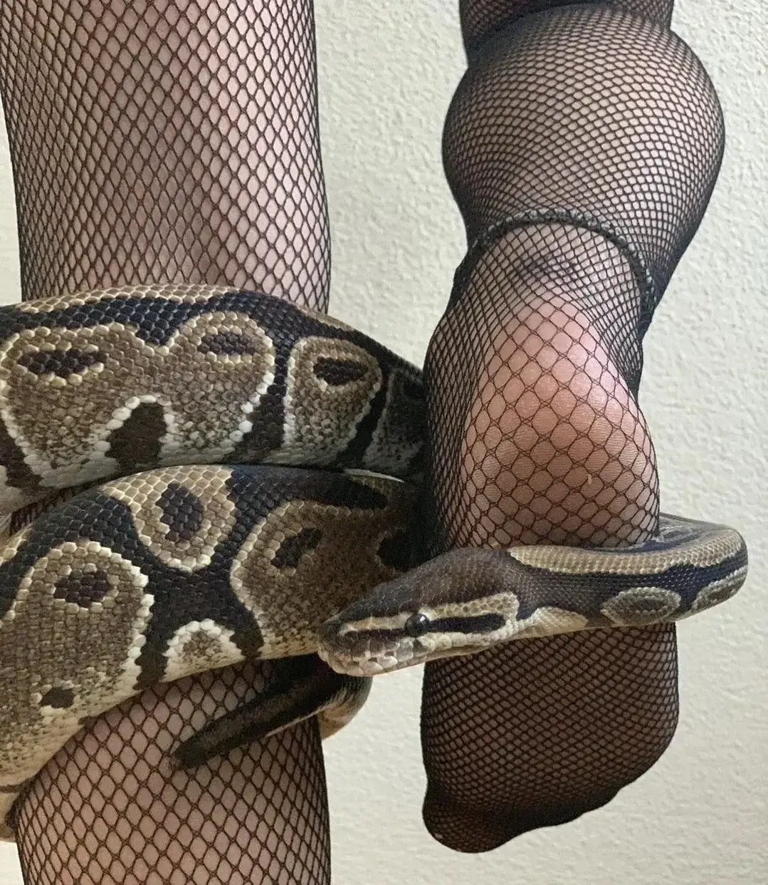 Leak & nude 4 — Hot_snake