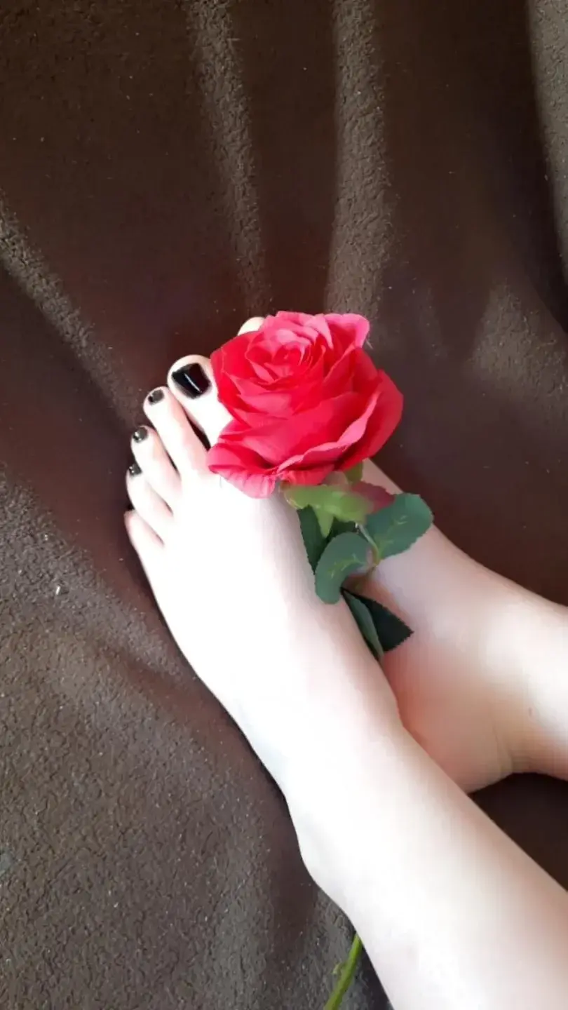 Avatar de Feetmemore_