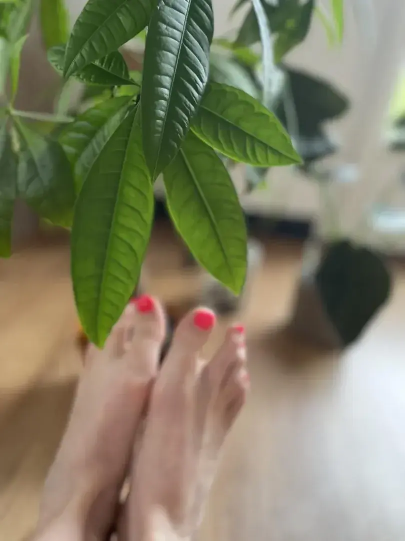 Photo de couverture de Hanna_feet