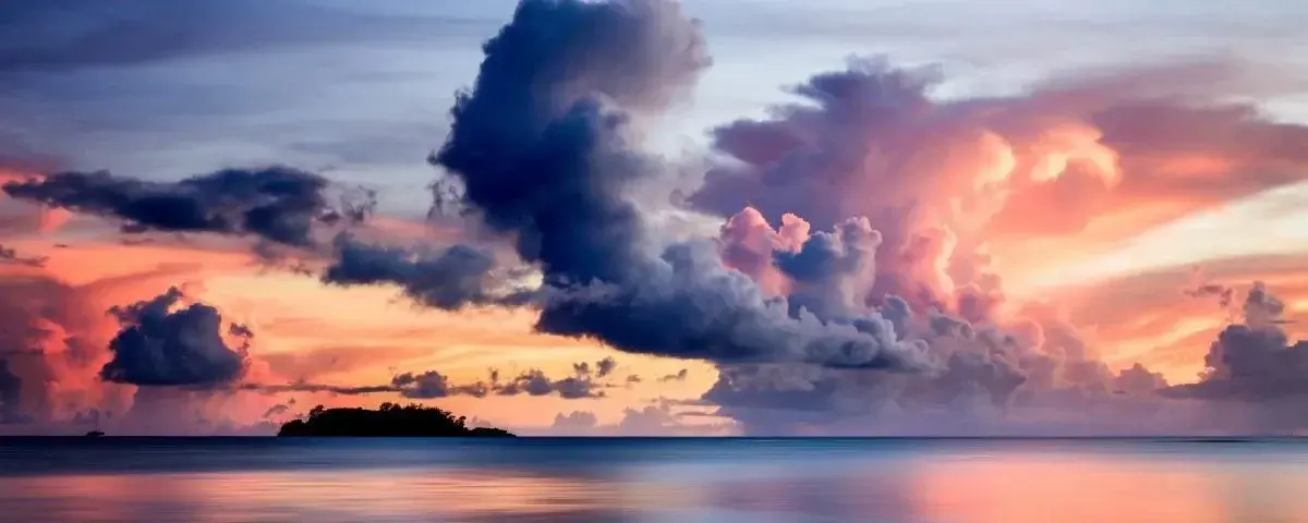 Photo de couverture de Swinsan