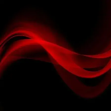 Photo de couverture de Baddyfox