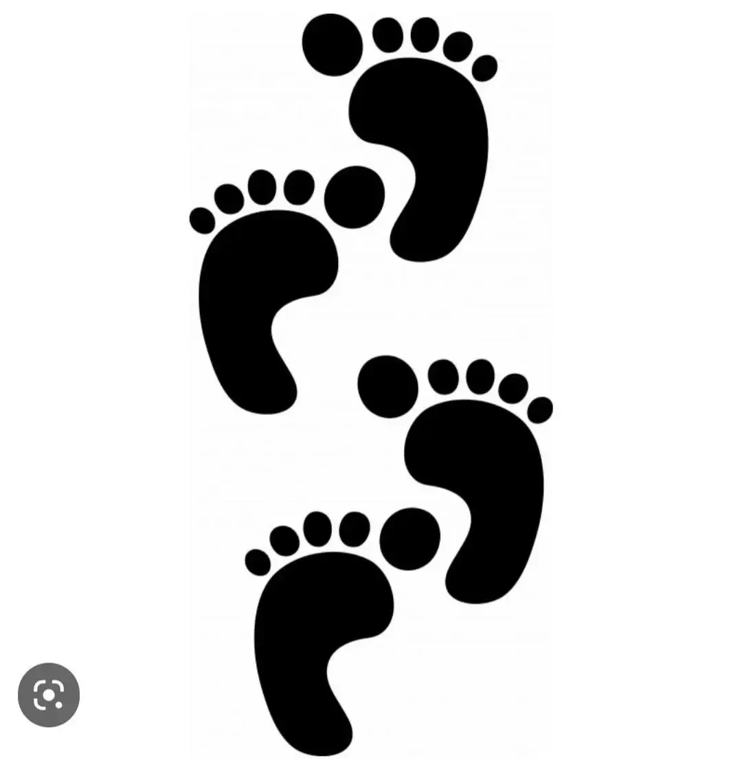Photo de couverture de Liloufeetbody