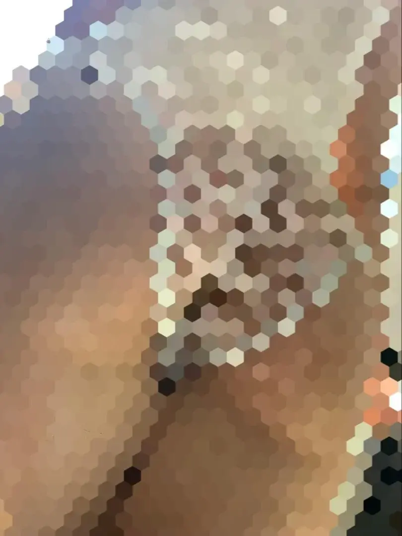 Leak & nude 3 — Saledanspropre