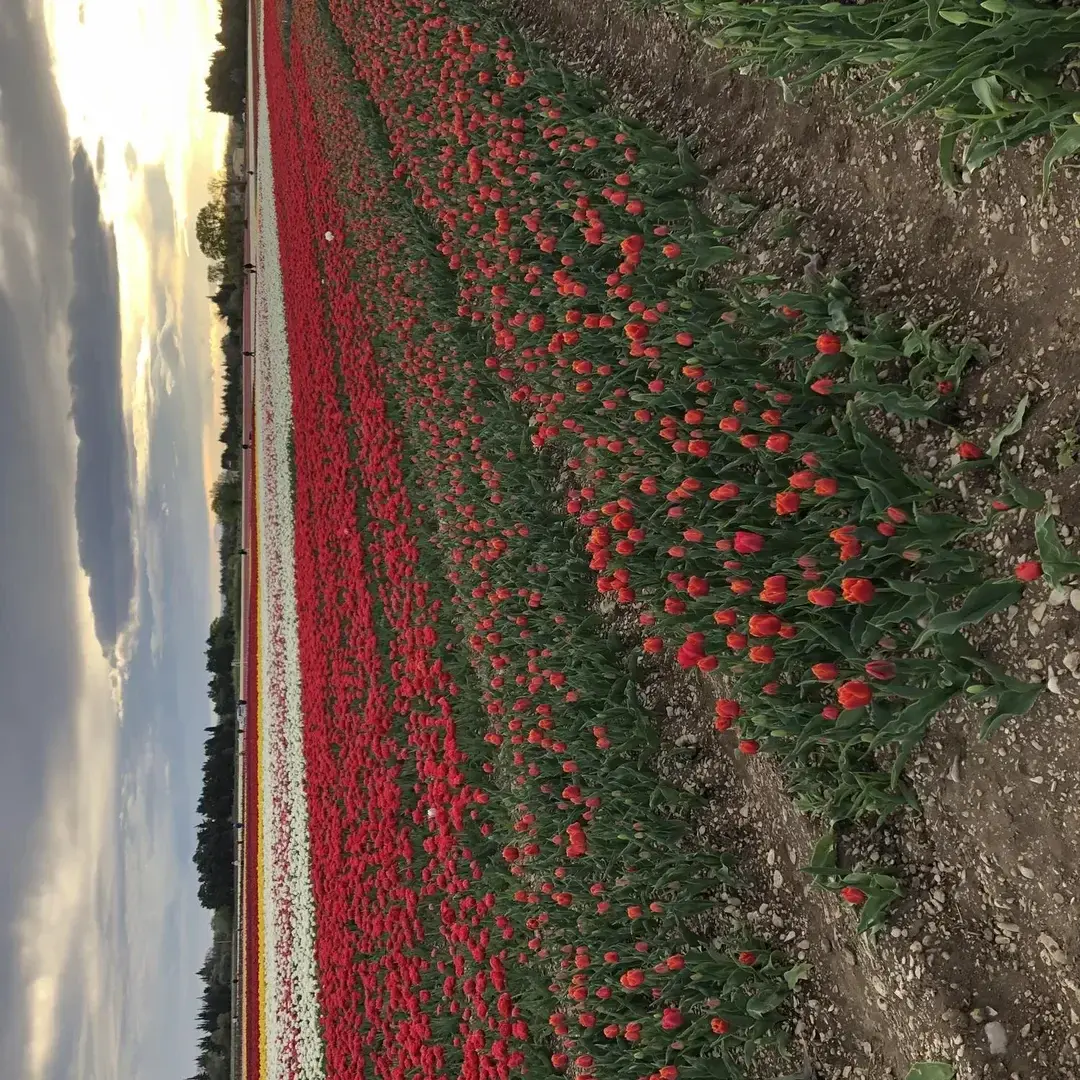 Photo de couverture de Saledanspropre