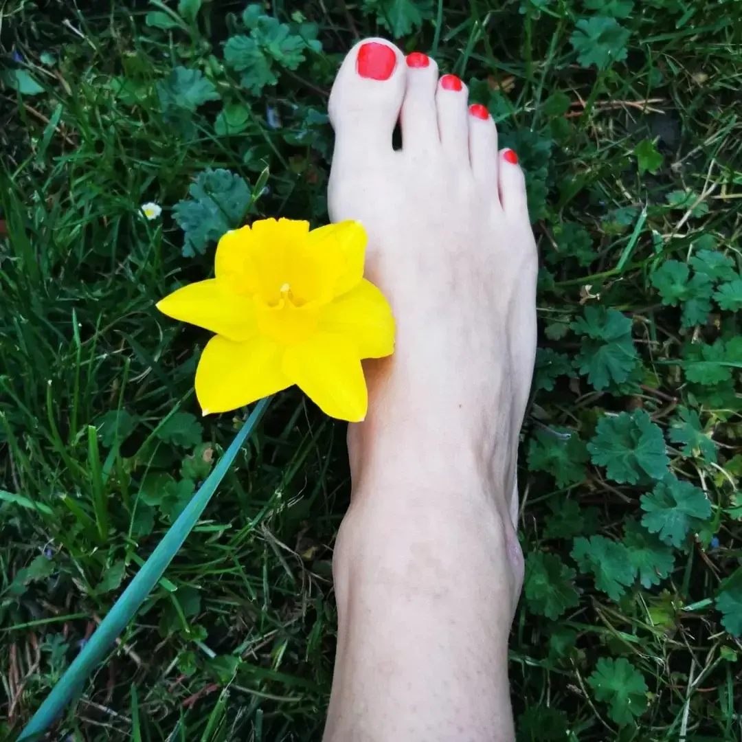 Avatar de Flowerrose548