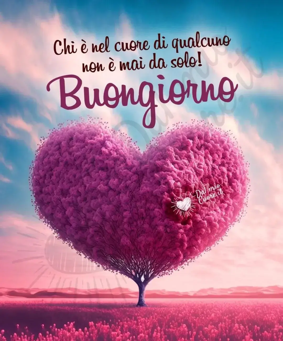 Photo de couverture de Grysette