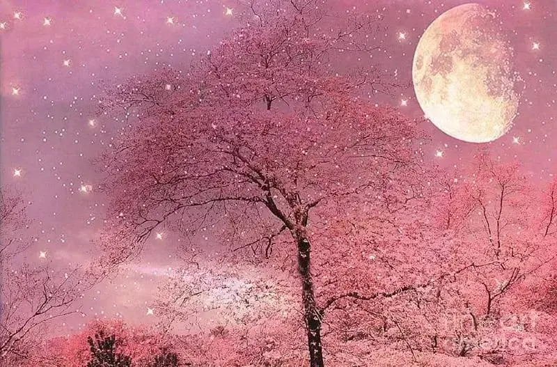 Photo de couverture de Moonlightsfeet