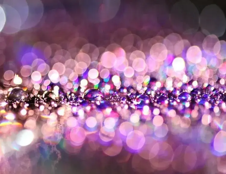 Photo de couverture de Katka
