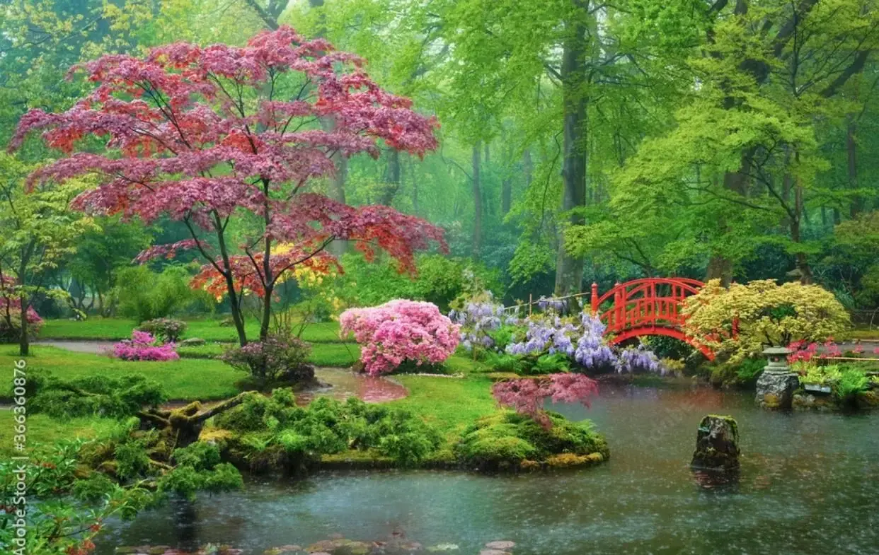 Photo de couverture de Asianlovesfun