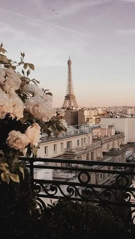 Photo de couverture de mia_mi3