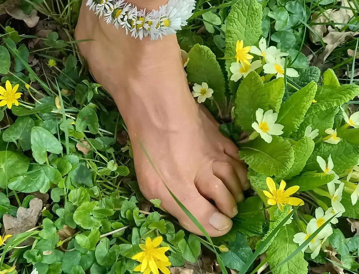 Avatar de Pieds-nature
