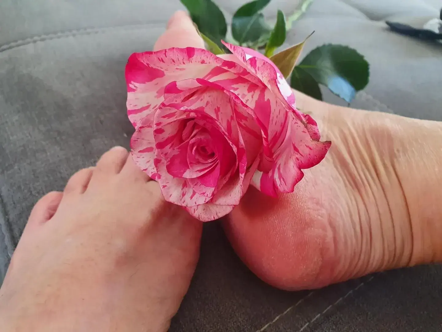 Photo de couverture de Madame-catalia-pieds