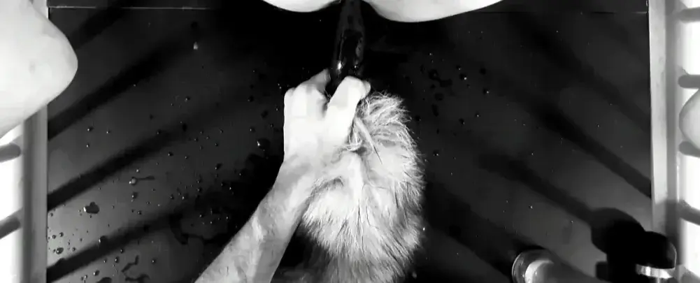 Leak & nude 5 — Romeo_bdsm