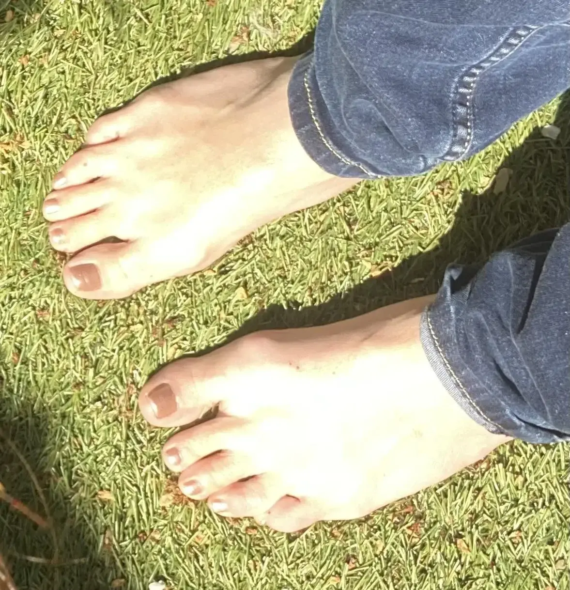 Photo de couverture de Pedesvita