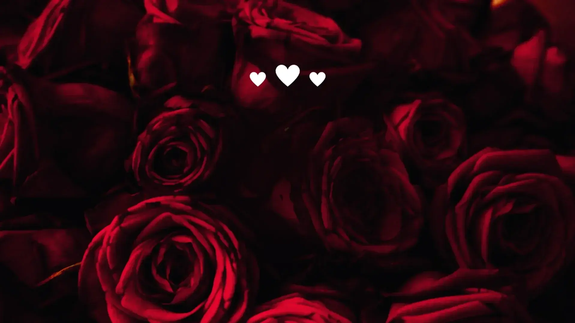 Photo de couverture de Misspiedstoutdoux