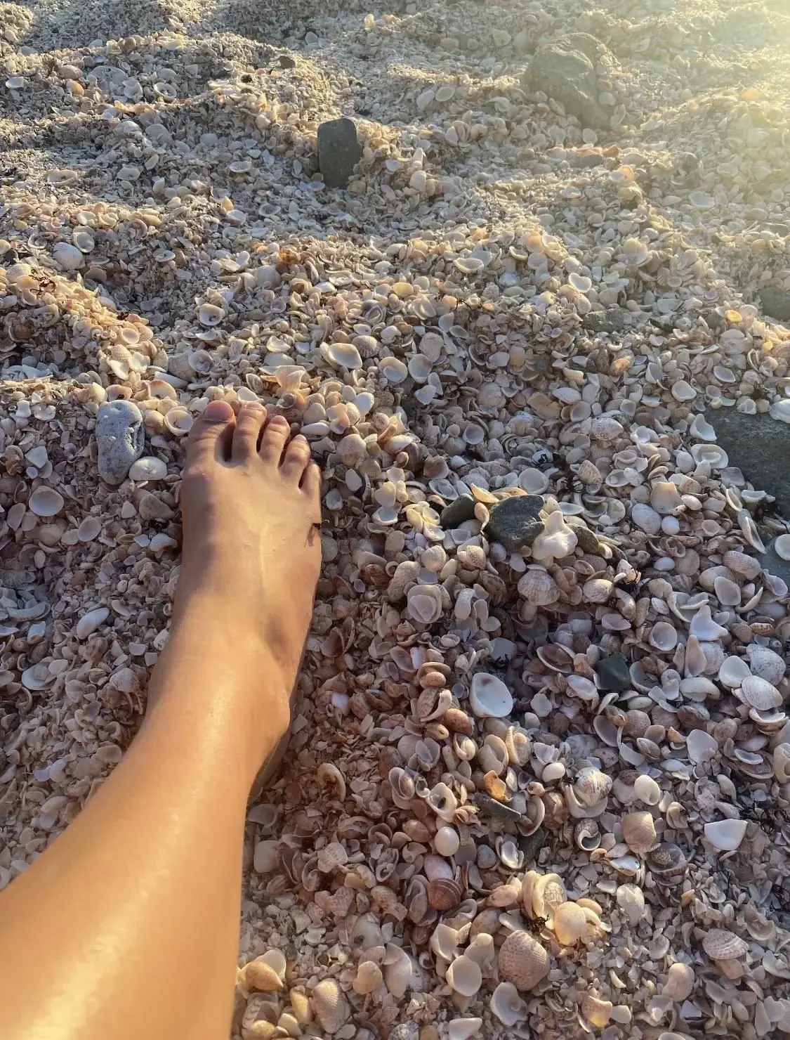 Avatar de Bella_lana