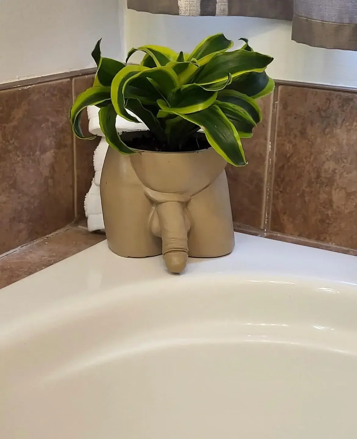 Une déco kitch mais je kiffe😍