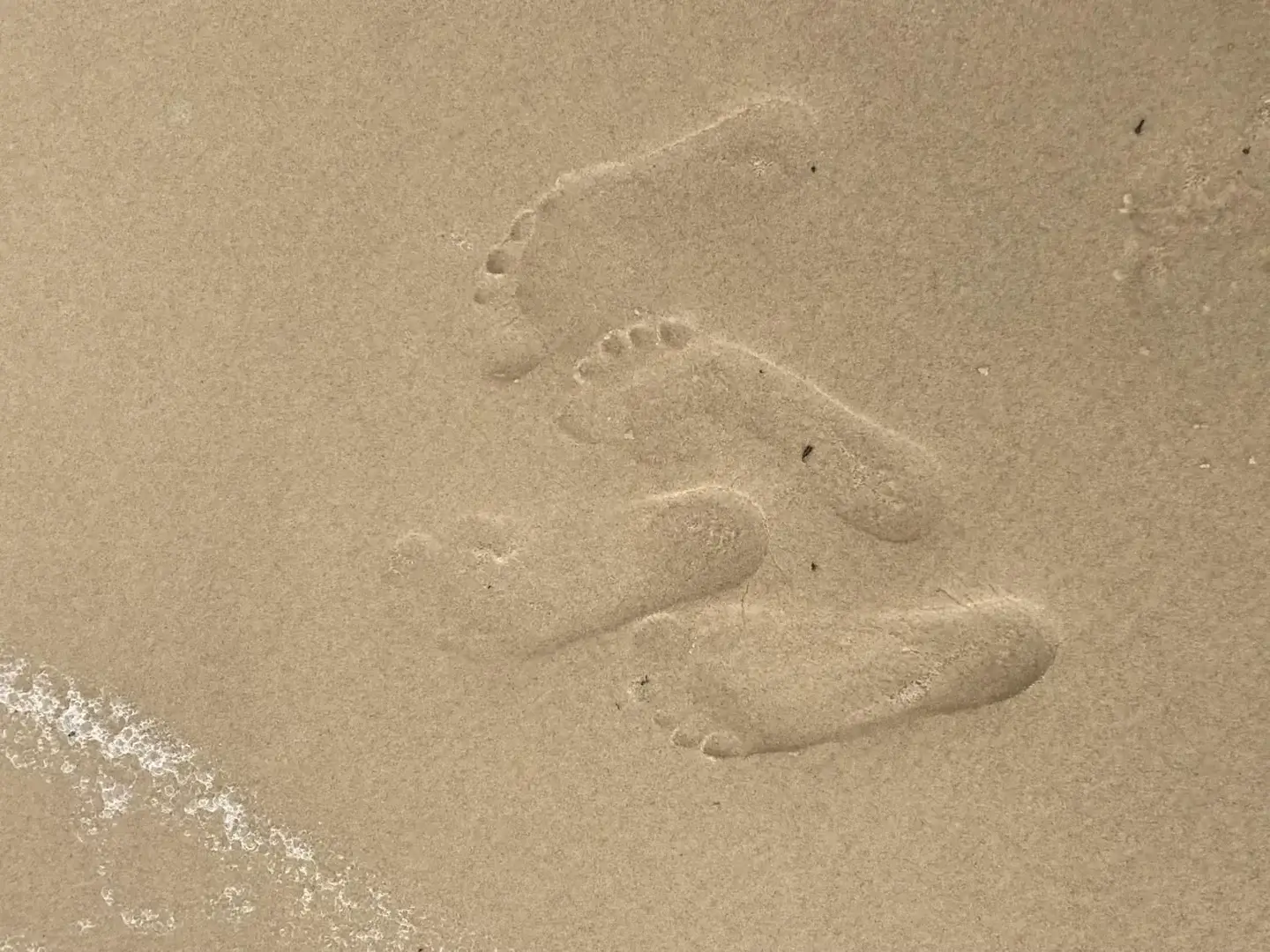 Avatar de Pied1209