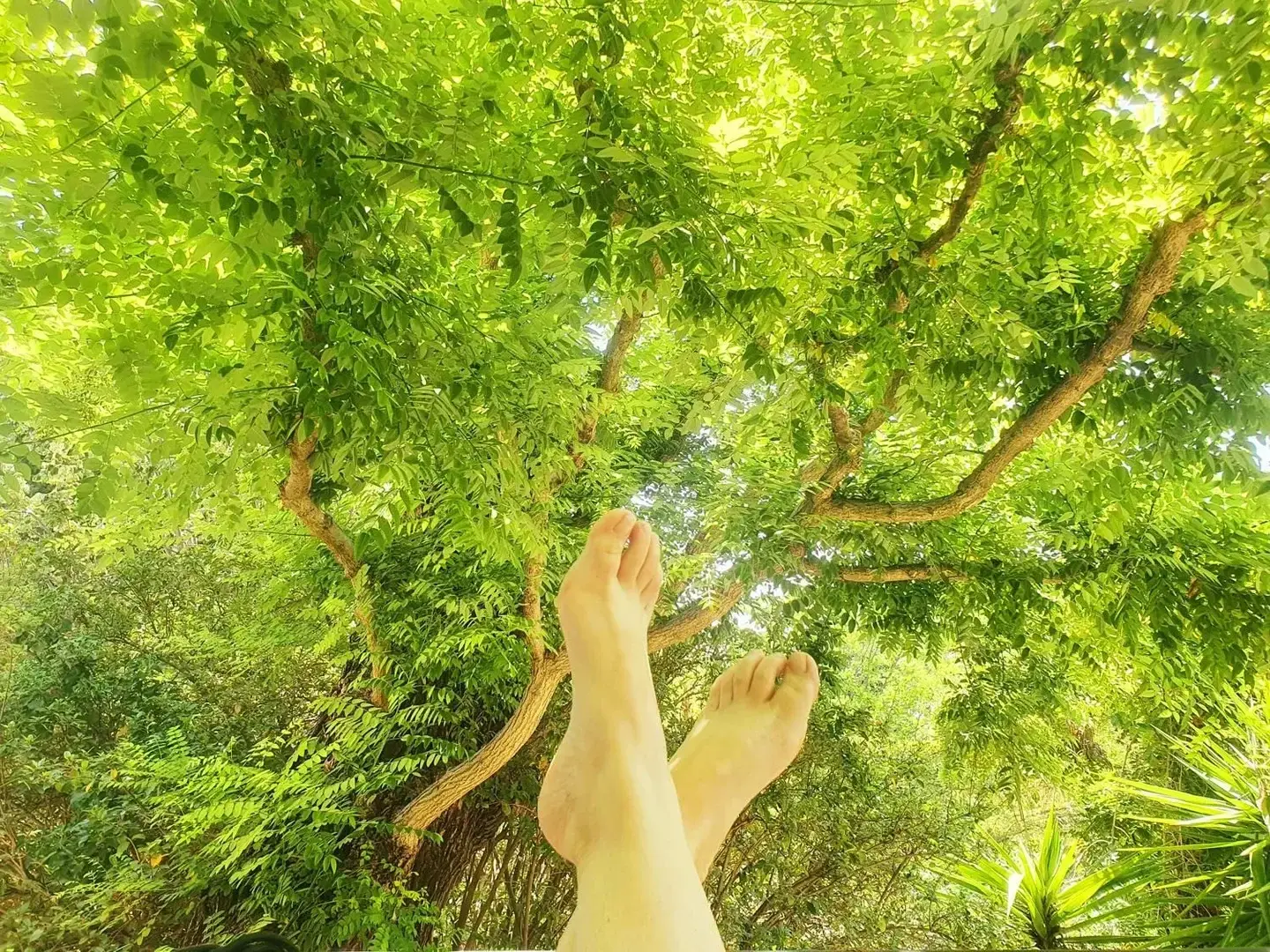 Leak & nude 2 — Wildfeetgirl