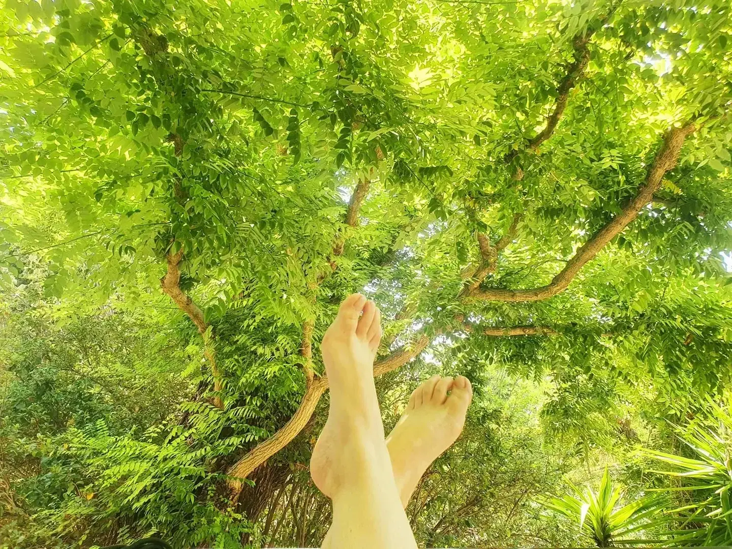 Photo de couverture de Wildfeetgirl