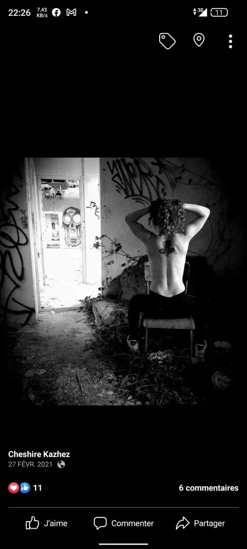 Photo de couverture de Cat-urbex