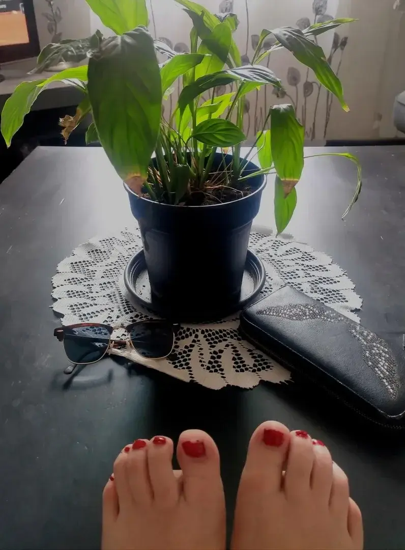 En ce jeudi ensoleillée ! #Feet #Foot #NialArt #Sex #Girl #Live #Sunny #SexLive #Happiness #Flowers #Plant #Money #Porn #PornLive  #Red