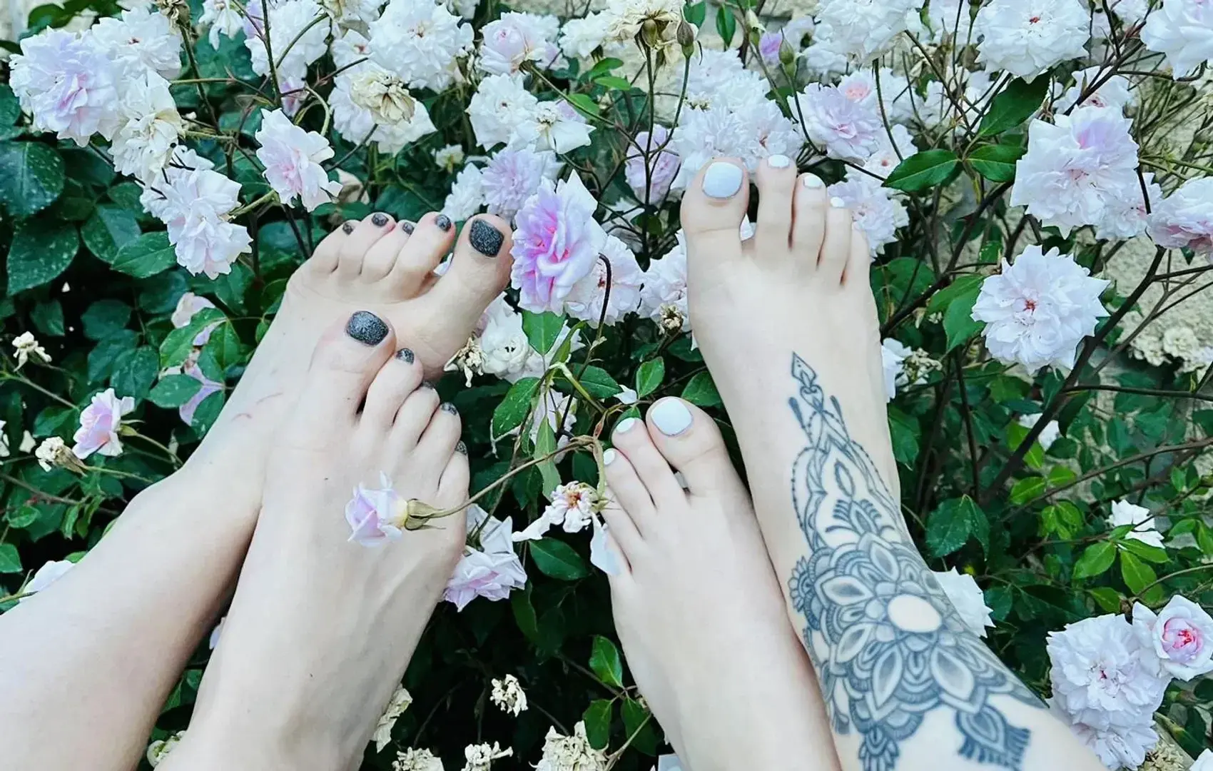 Avatar de Feet_ich