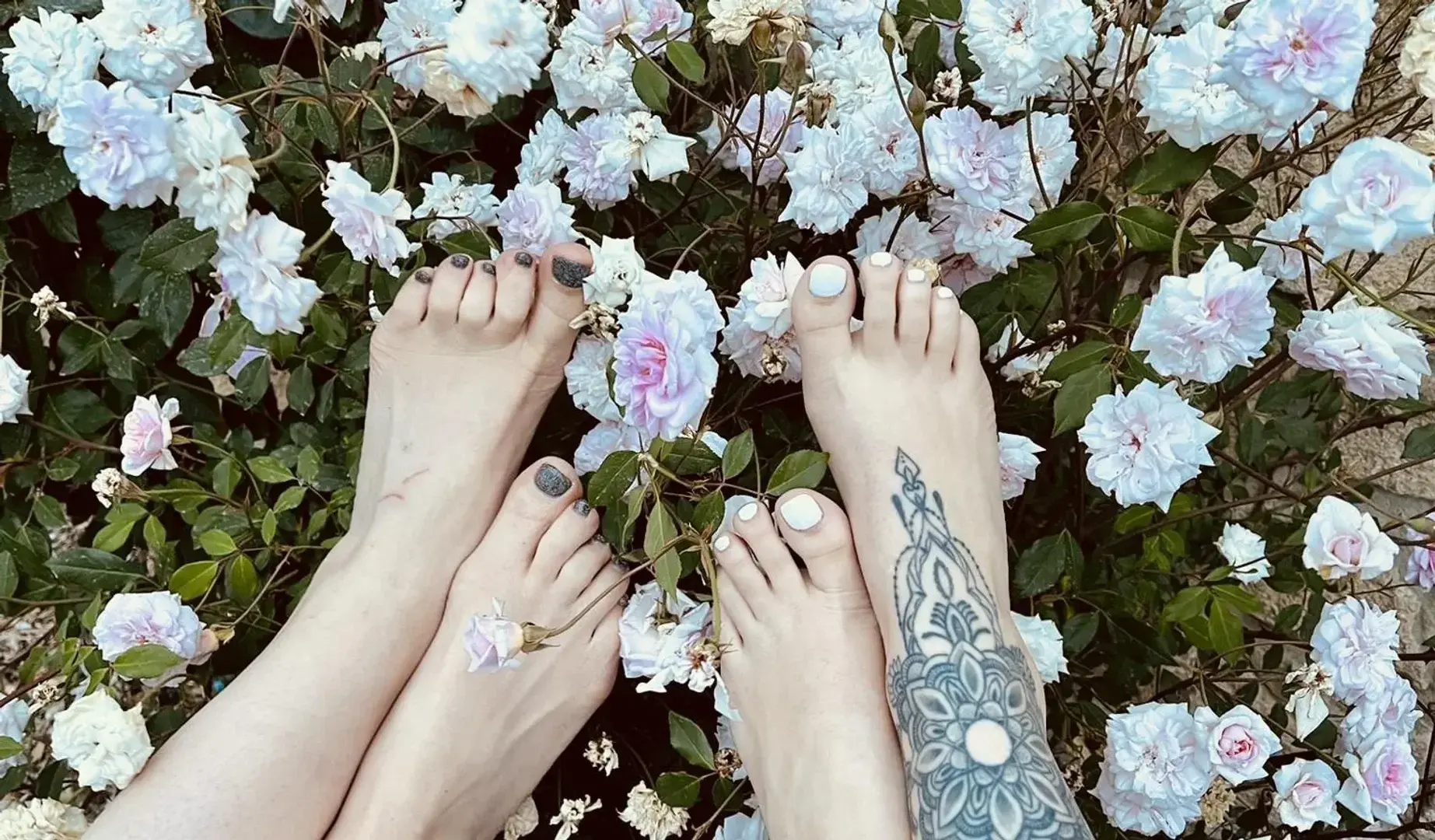 Photo de couverture de Feet_ich