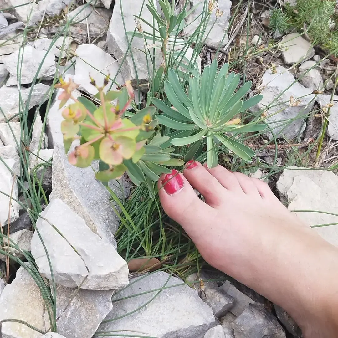 Avatar de Travelersfeet