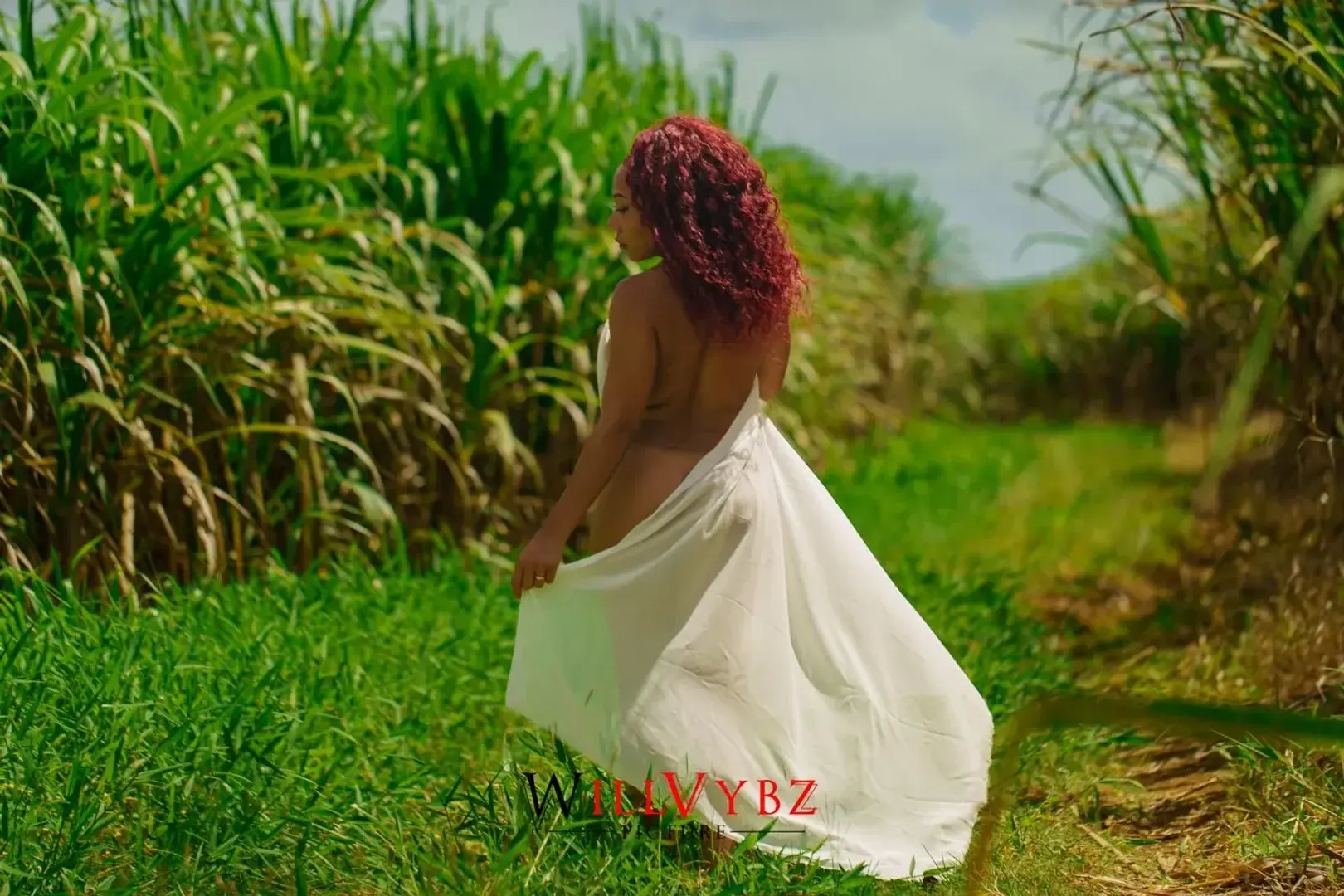 Photo de couverture de Hibiscus27
