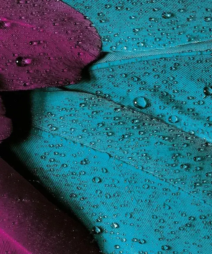 Photo de couverture de Bb_sstar