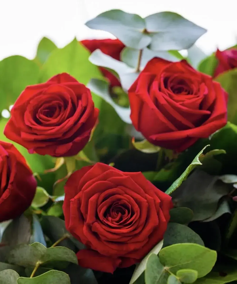 Photo de profil de Flowers76