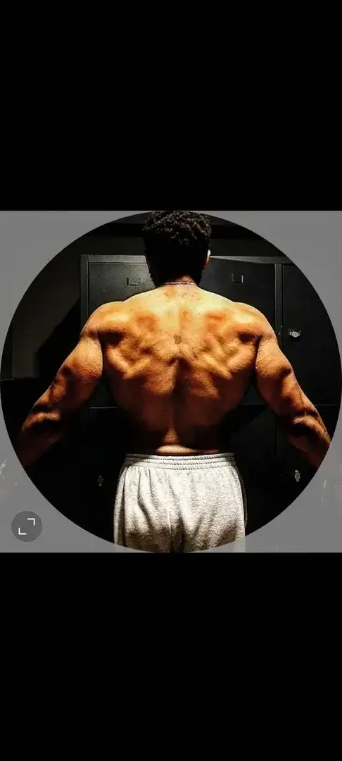 Avatar de Ryu_omega66