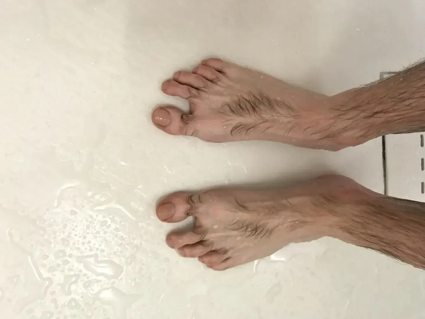 Photo de couverture de heteroalpha