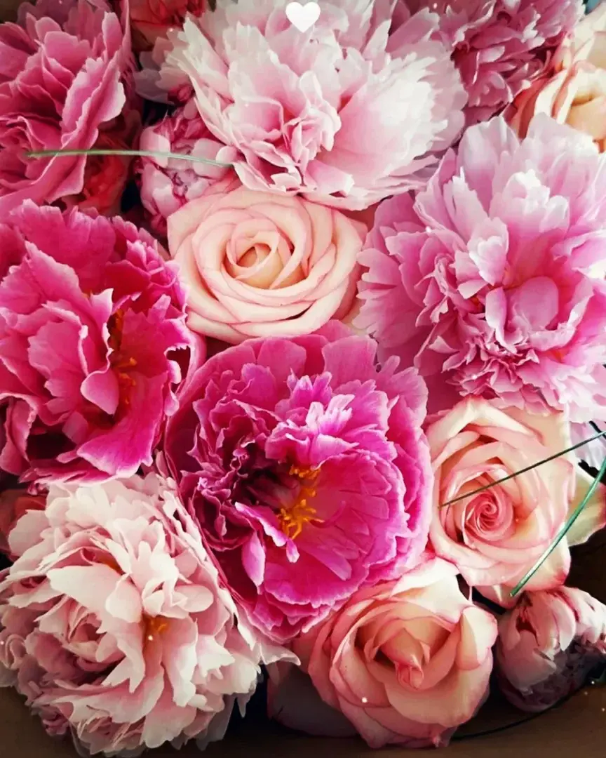Photo de couverture de Lola831