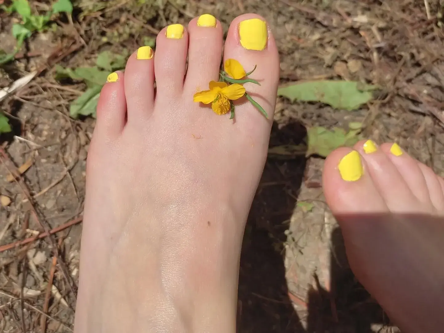 Avatar de Pieds-delice