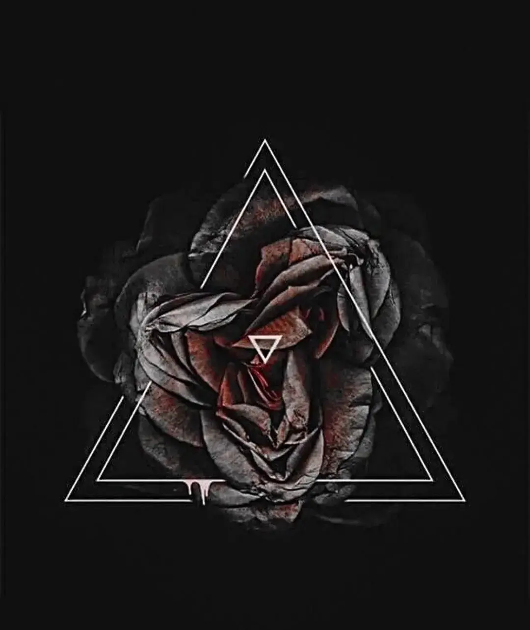 Avatar de Lucciola_