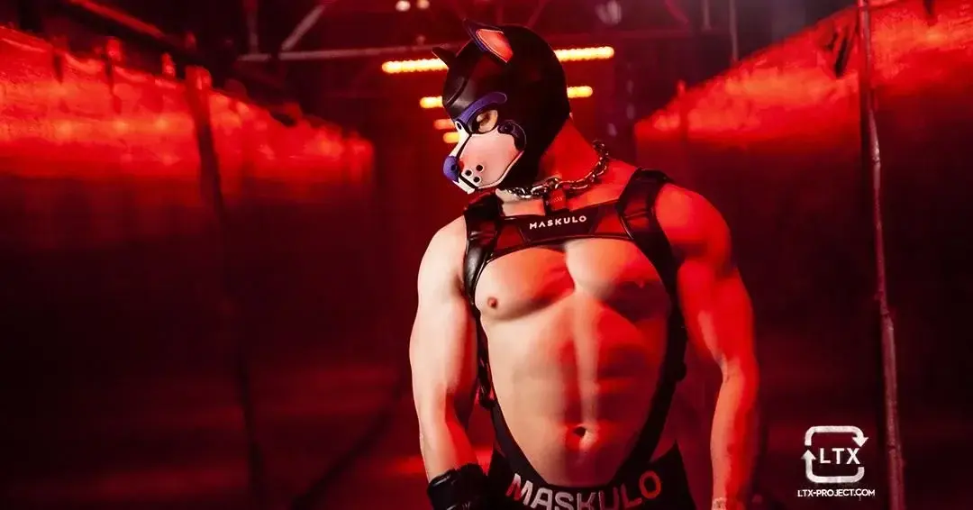Photo de couverture de Pupbuday