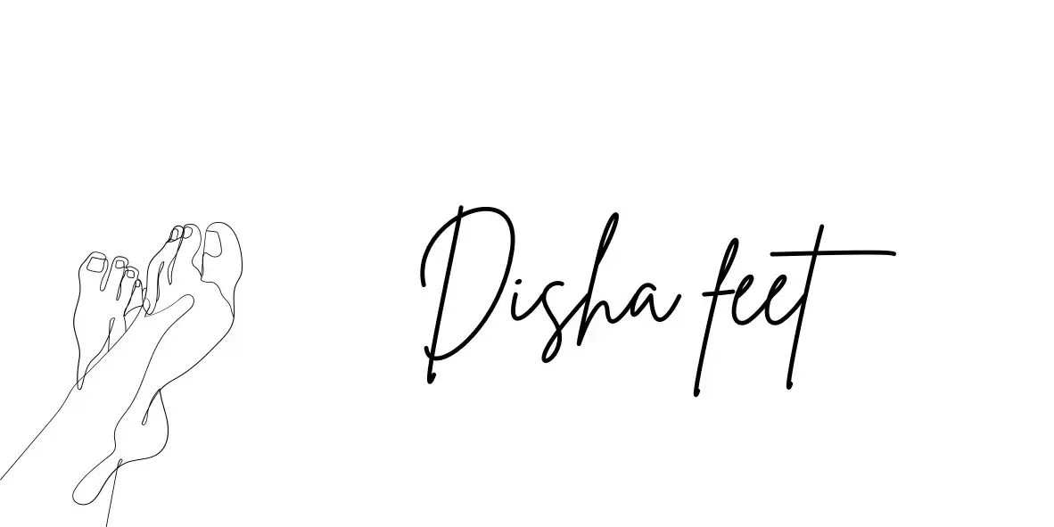 Photo de couverture de Dishafeet