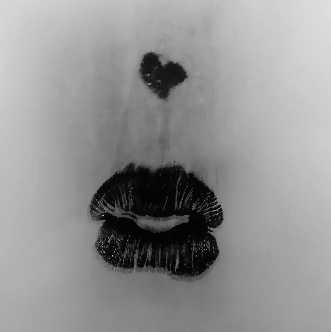 Photo de couverture de Feetmouth