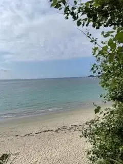 Photo de couverture de Mamanova