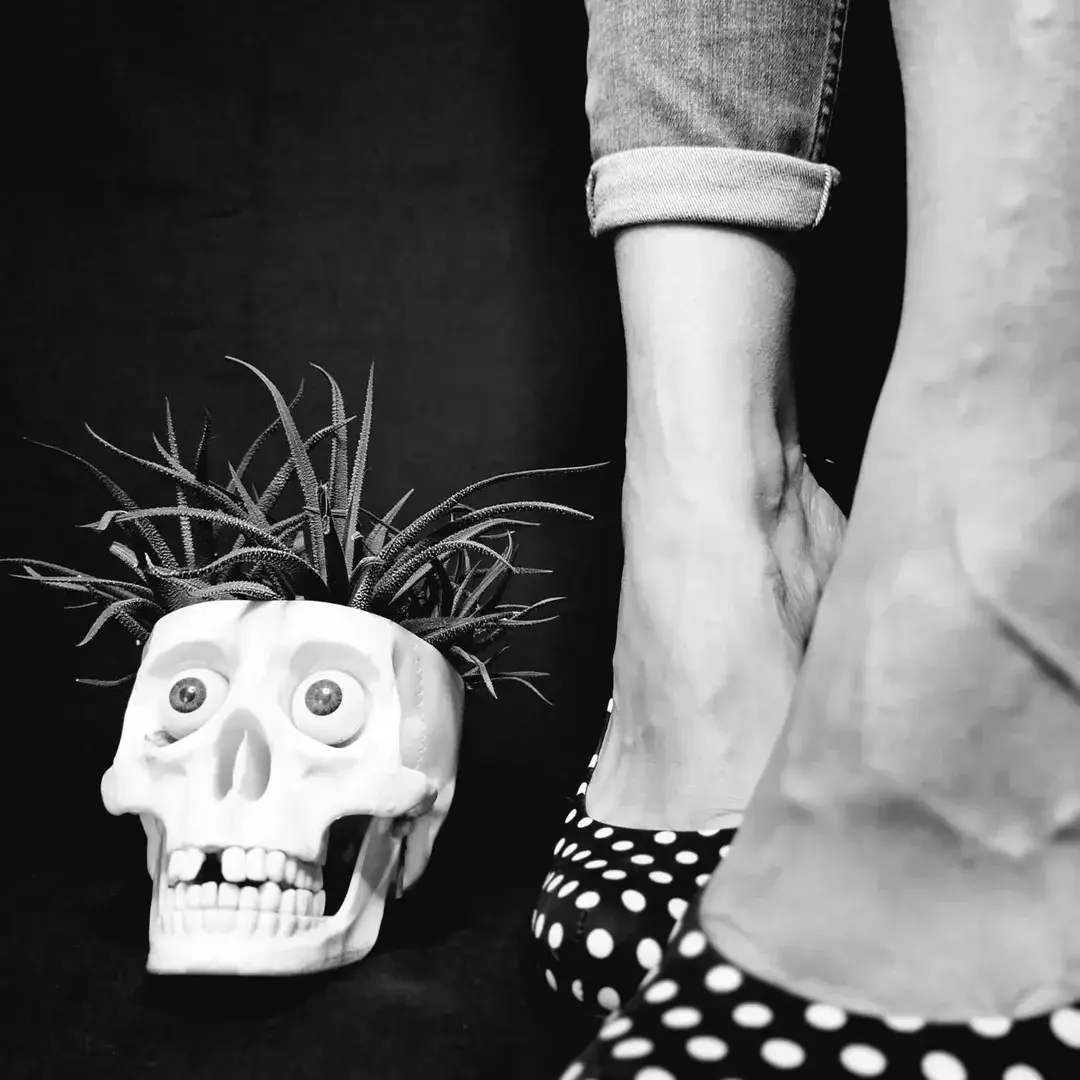 Avatar de junglefeet_ch